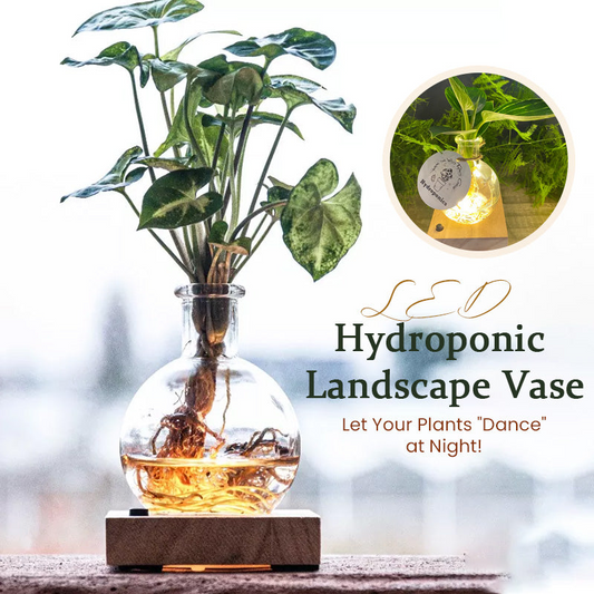 LED Hydroponic Plant Vase