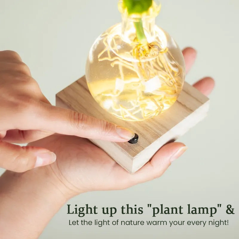 LED Hydroponic Plant Vase