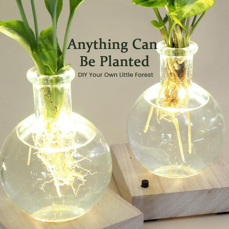 LED Hydroponic Plant Vase