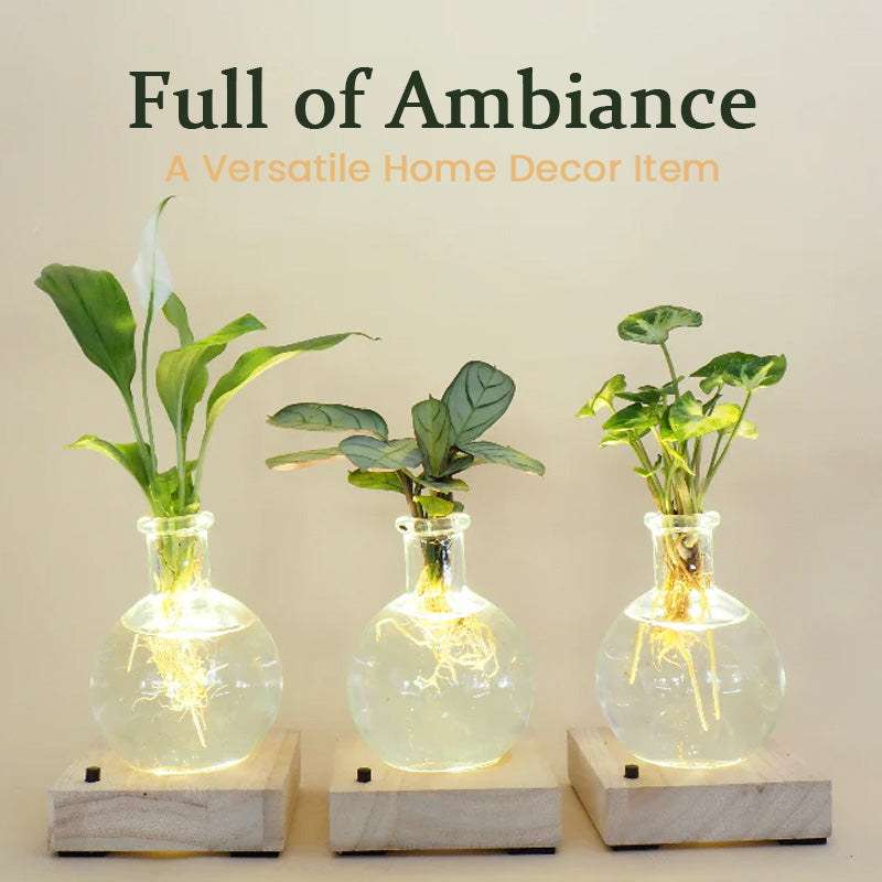LED Hydroponic Plant Vase