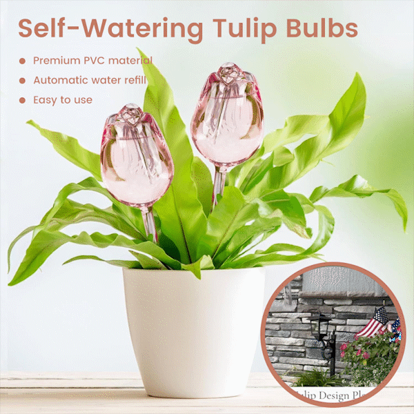 🌷 Self-Watering Tulip Bulbs