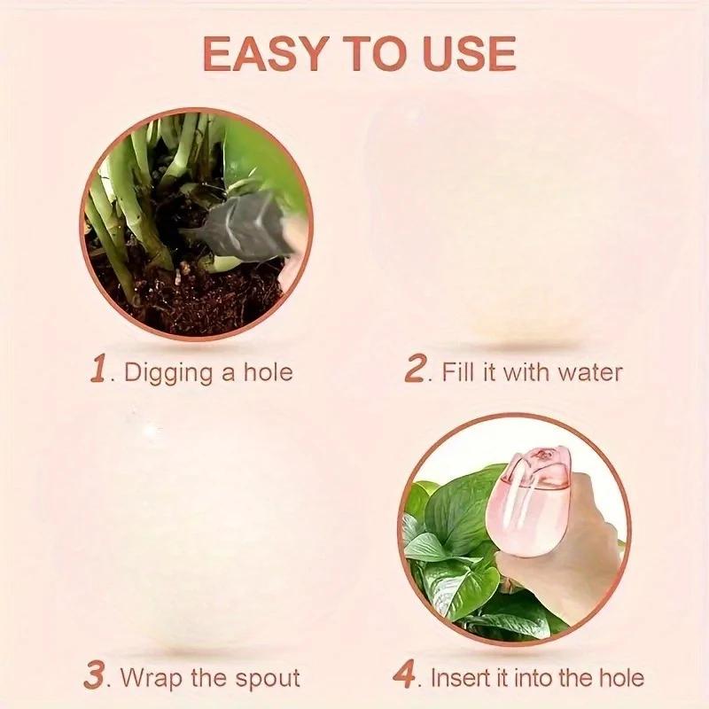 🌷 Self-Watering Tulip Bulbs